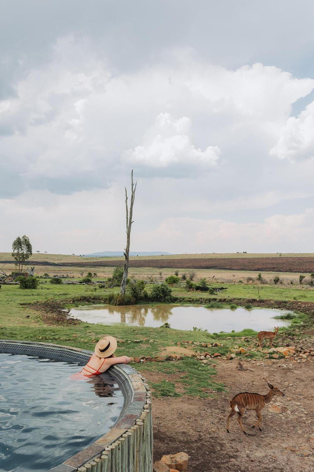 Nambiti Plains Lodge Ladysmith Exteriér fotografie