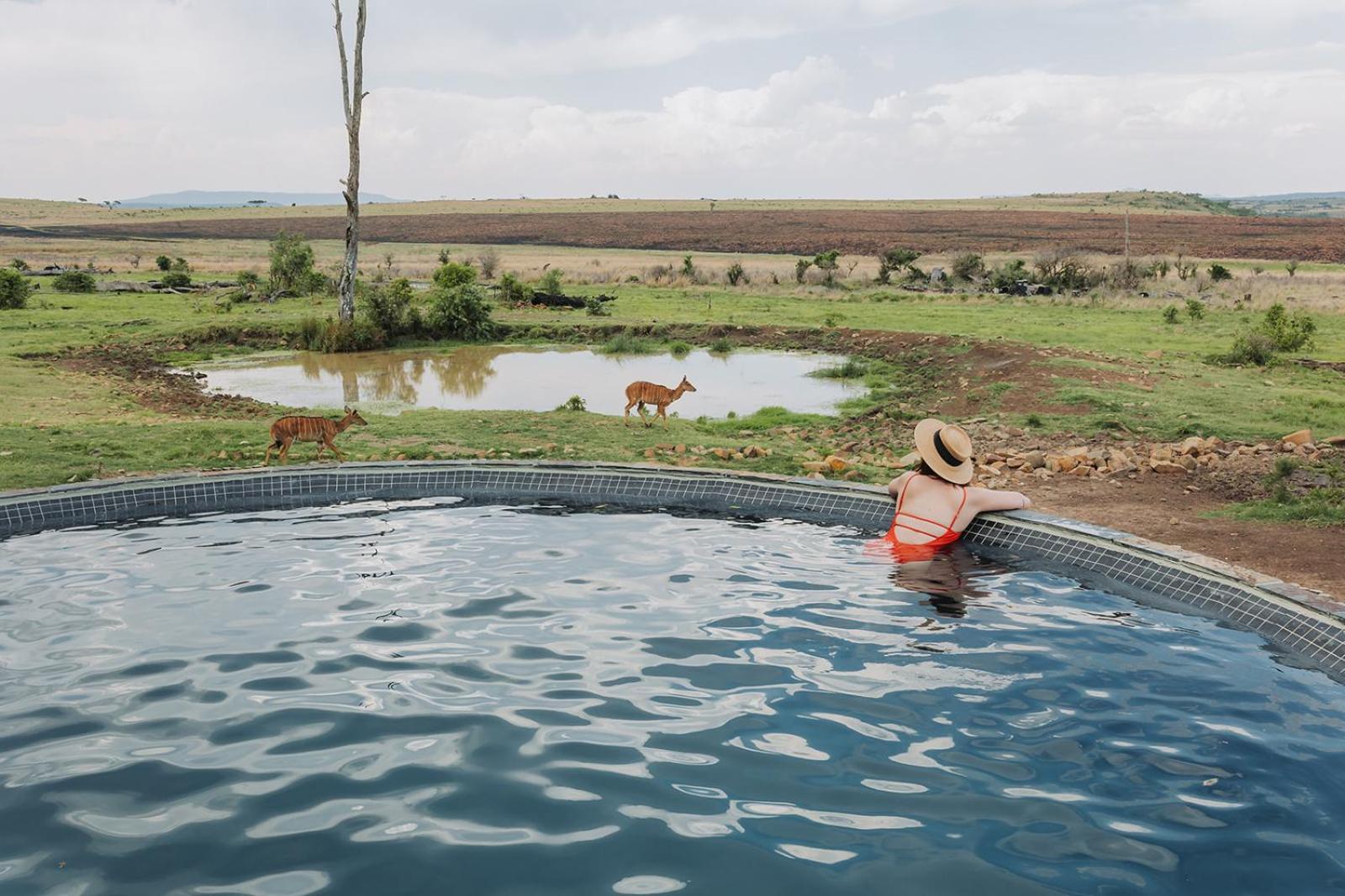 Nambiti Plains Lodge Ladysmith Exteriér fotografie