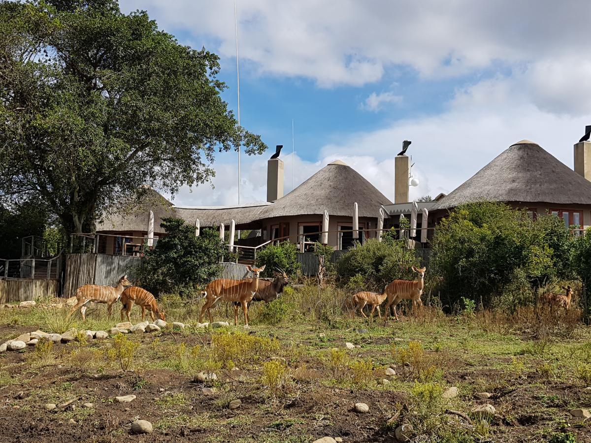 Nambiti Plains Lodge Ladysmith Exteriér fotografie
