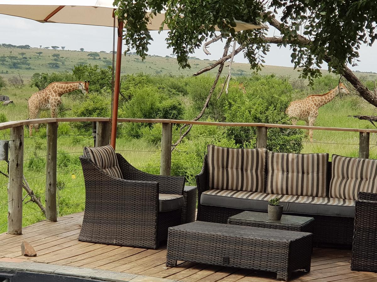 Nambiti Plains Lodge Ladysmith Exteriér fotografie