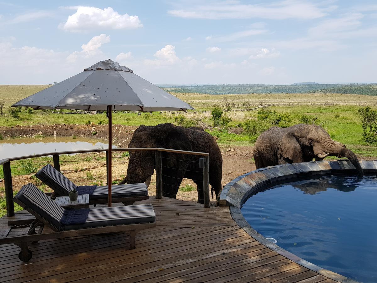 Nambiti Plains Lodge Ladysmith Exteriér fotografie